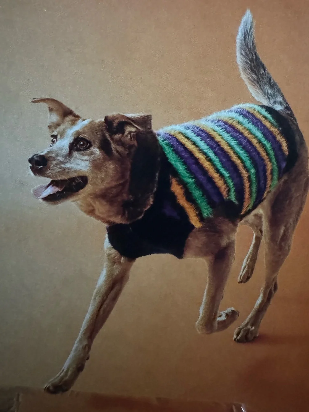 Boots & Barkley Striped Fuzzy Halloween Costume dog sweater size large